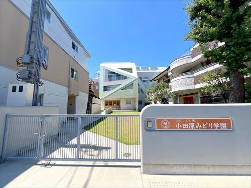 認定こども園小田原みどり学園まで290m 認定こども園小田原みどり学園まで290m
