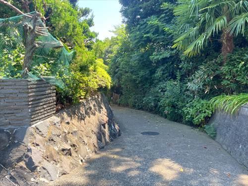 南西側道路