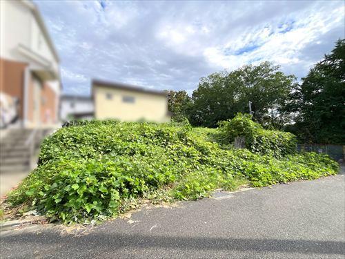 現地写真（2026年9月撮影）