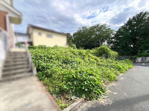 現地写真（2026年9月撮影）