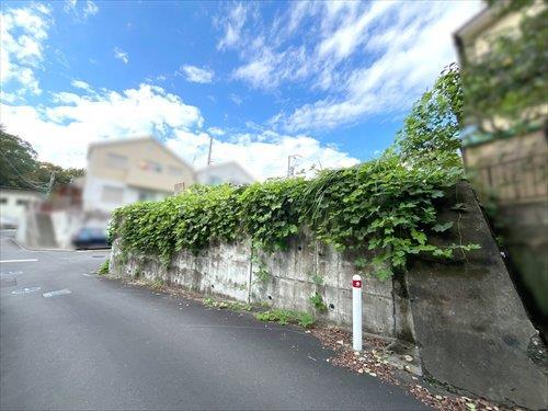 現地写真（2026年9月撮影）