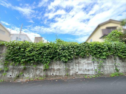 現地写真（2026年9月撮影）