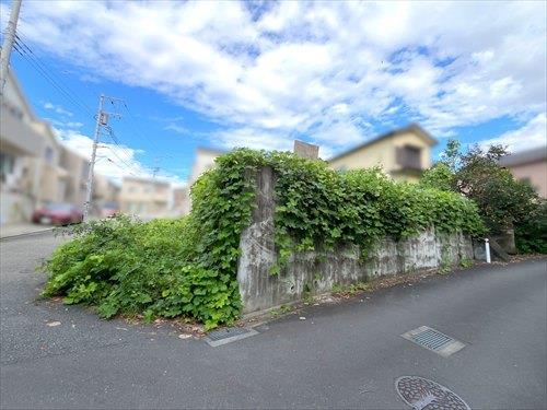 現地写真（2026年9月撮影）