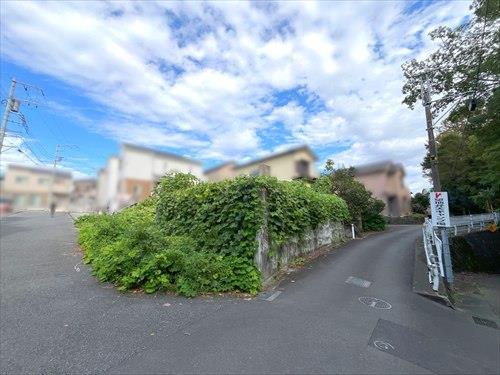 現地写真（2026年9月撮影）