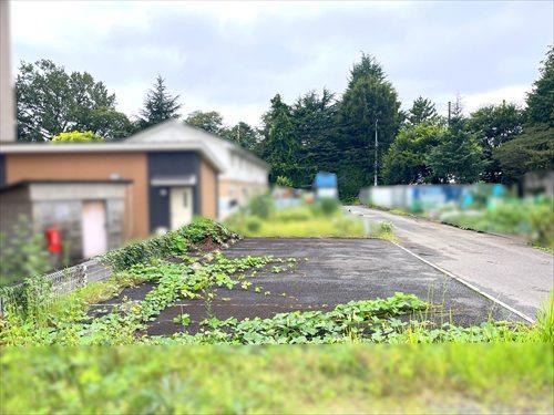 現地写真（2026年9月撮影）