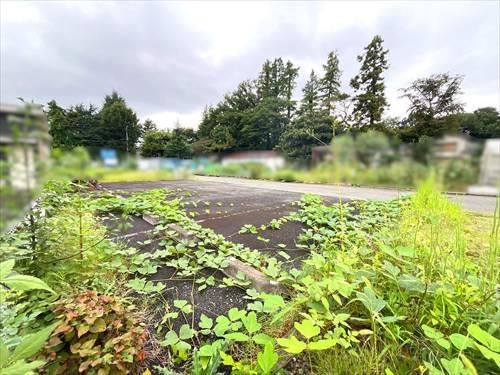 現地写真（2026年9月撮影）