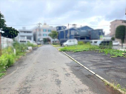 現地写真（2026年9月撮影）