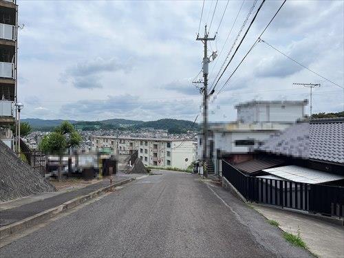 北東側道路(2024年6月撮影)