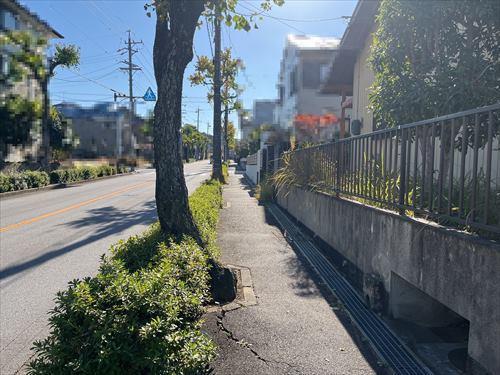 前面道路写真(2024年12月撮影)