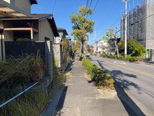 前面道路写真(2024年12月撮影)