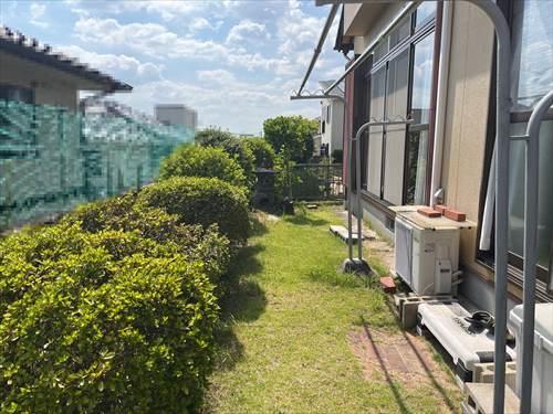 お庭(撮影年月:2025年8月)