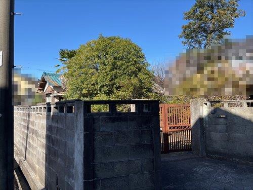 現地写真（2025年8月撮影）