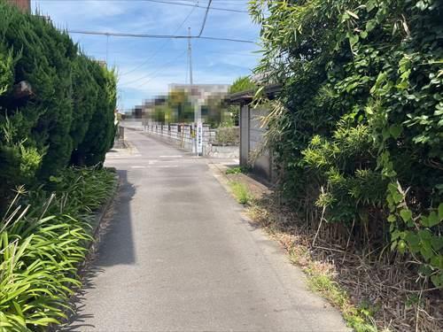 西側道路(2025年8月撮影)