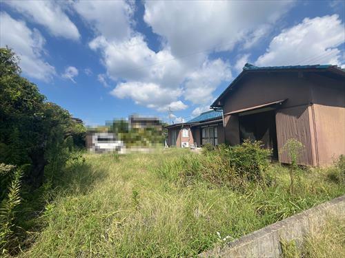 現地写真(2025年8月撮影)