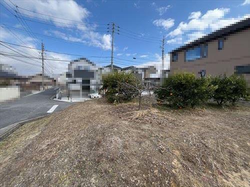 現地写真（令和8年2月撮影）