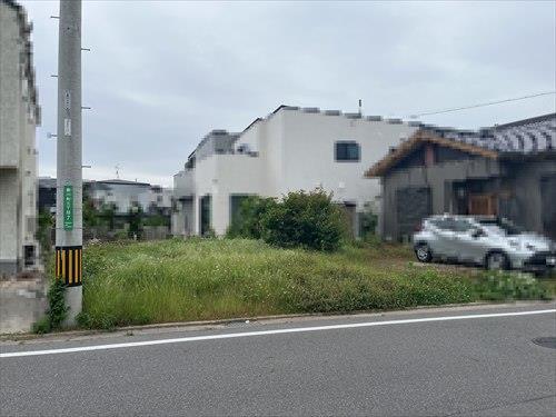 現地写真(2025年5月撮影)