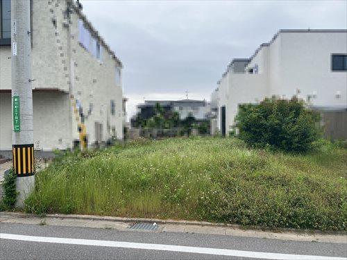 現地写真(2025年5月撮影)