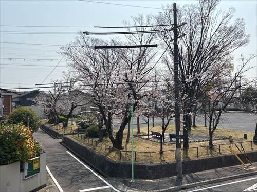 南東側バルコニーからの眺望