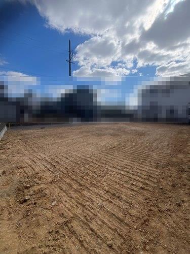 現地写真(2026年2月撮影)