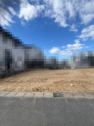 現地写真(2026年2月撮影)