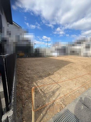 現地写真(2026年2月撮影)