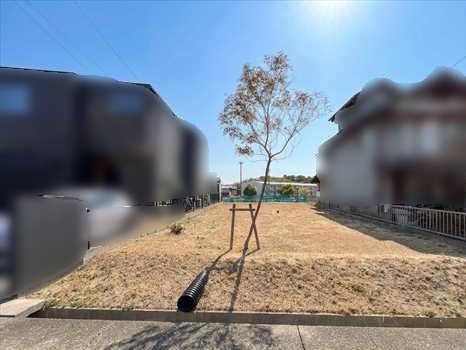 現地写真（撮影年月：2026年3月）