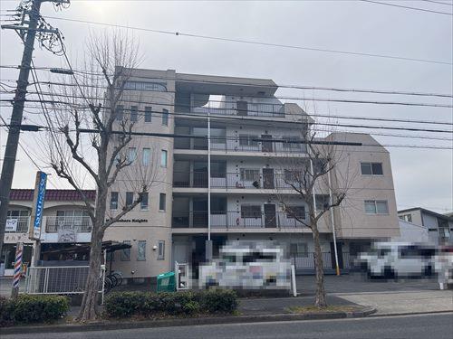 現地写真(2026年2月撮影)