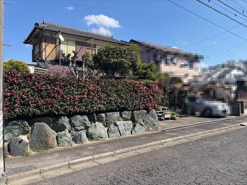現地写真(2026年4月撮影)