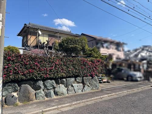 現地写真(2026年4月撮影)