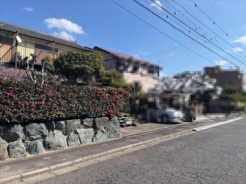 現地写真(2026年4月撮影)