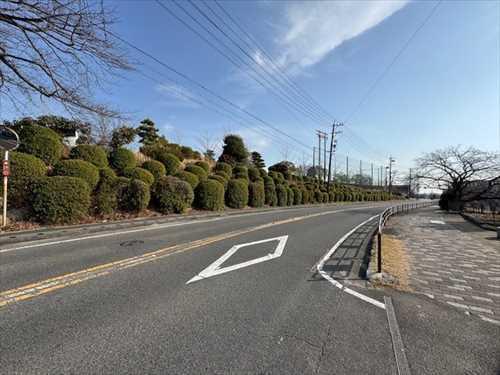 東側公道（対象地に接道はしていません）