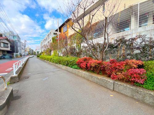 蛇崩川支流緑道まで550m