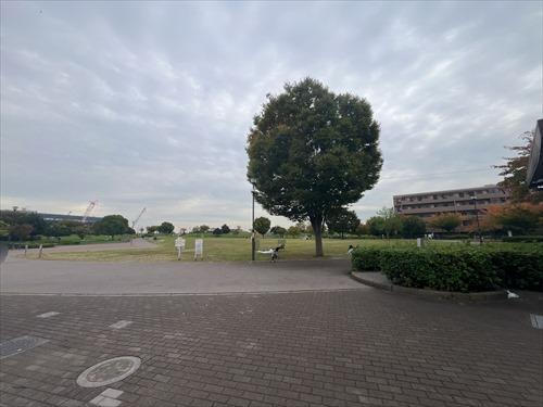 東立石緑地公園（250m）