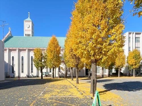 目黒サレジオ幼稚園まで270m