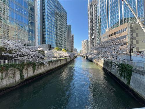 目黒川まで約70m 2026年4月撮影