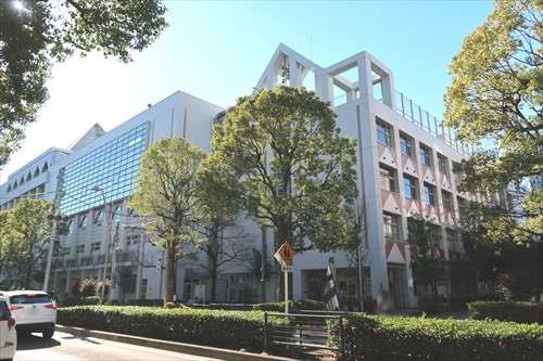 中央区立佃島小学校まで590m