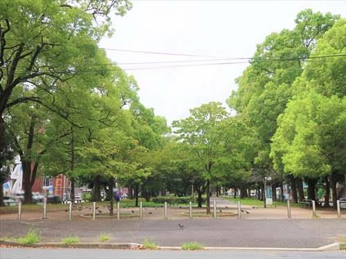 大通り公園まで370m