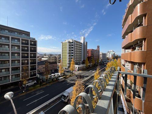 バルコニーからの眺望