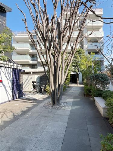 外観(2026年2月撮影）