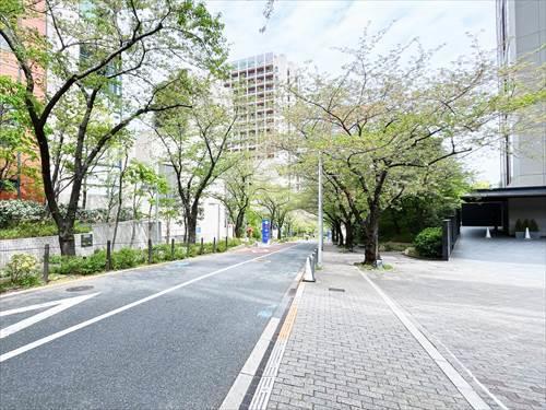 現地前道路