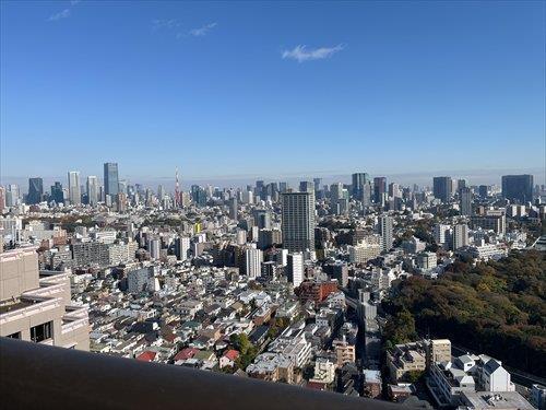 東側洋室からの眺望
