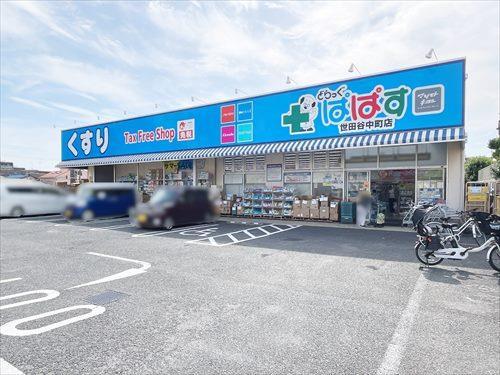 どらっぐぱぱす世田谷中町店(330m)