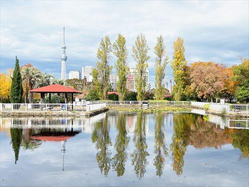 猿江恩賜公園(800m)
