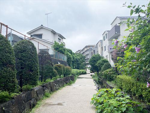 北西側緑道（2026年7月撮影）