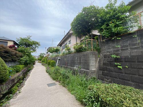 北西側緑道2026年5月撮影