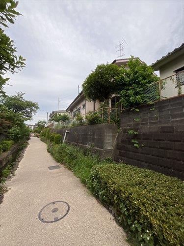 北西側緑道2026年5月撮影