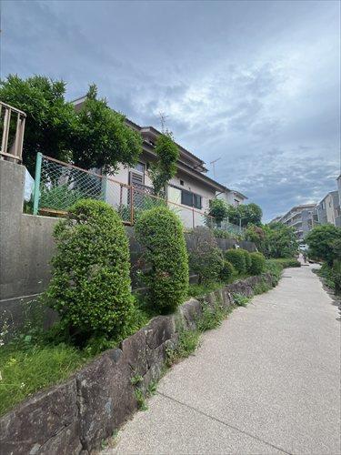北西側緑道2026年5月撮影