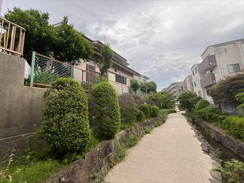 北西側緑道2026年5月撮影