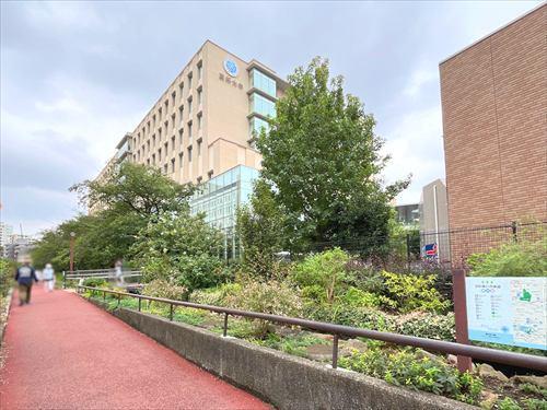 東邦大学医療センター大橋病院-290m