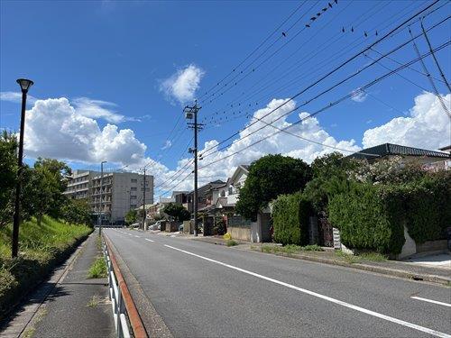 前面道路-1 (2024年8月撮影)